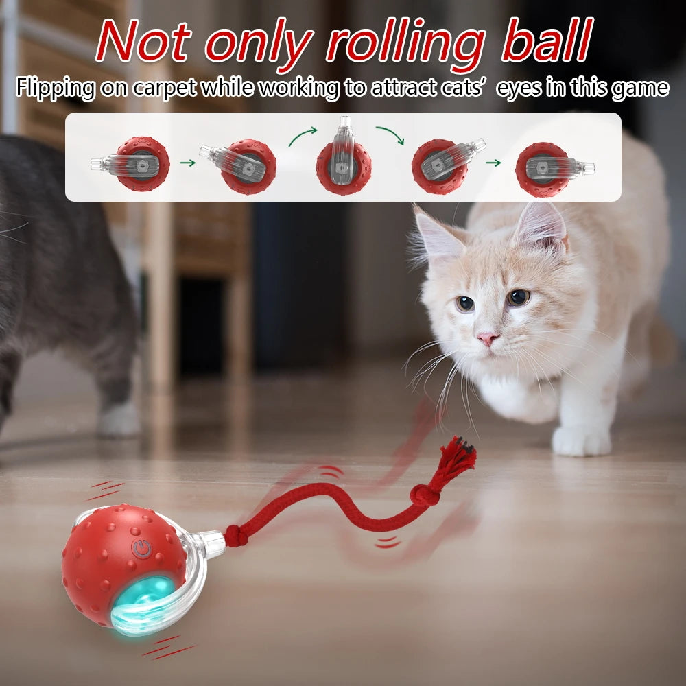 Interactive Cat & Dog Toy Ball with Bird Chirping Super Drive Cat Rolling Balls Motion