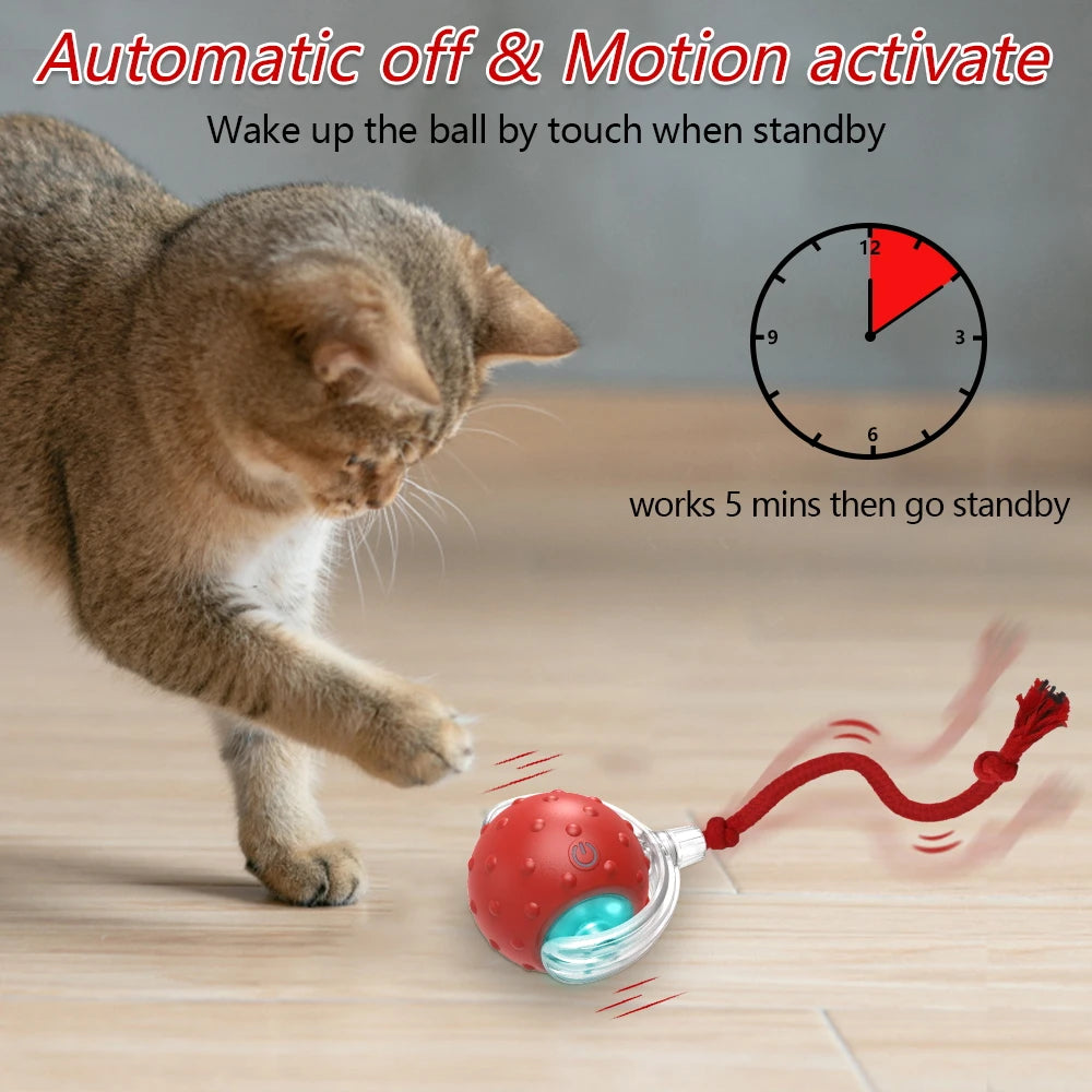 Interactive Cat & Dog Toy Ball with Bird Chirping Super Drive Cat Rolling Balls Motion