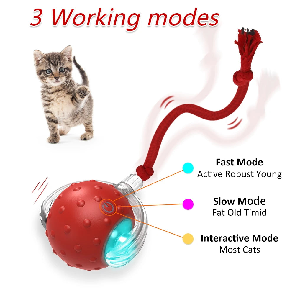 Interactive Cat & Dog Toy Ball with Bird Chirping Super Drive Cat Rolling Balls Motion