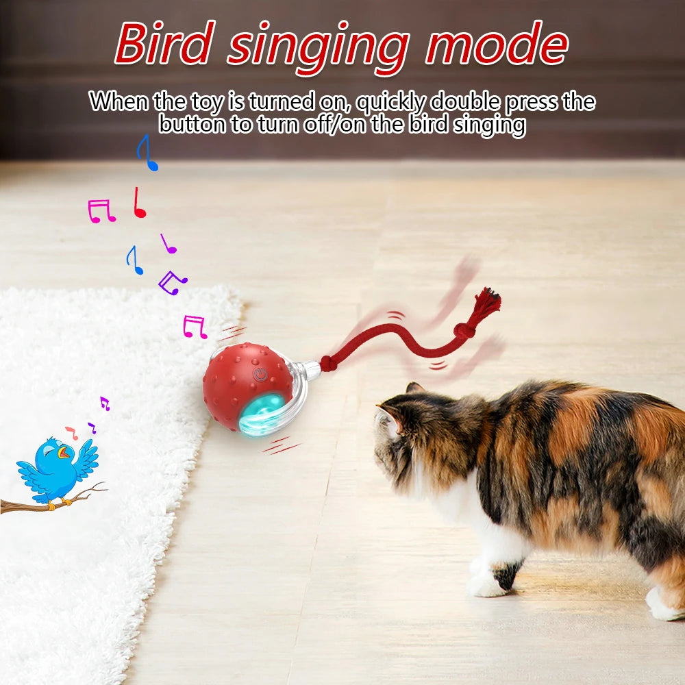 Interactive Cat & Dog Toy Ball with Bird Chirping Super Drive Cat Rolling Balls Motion